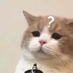 這些眼睛一點(diǎn)都不招人喜歡!