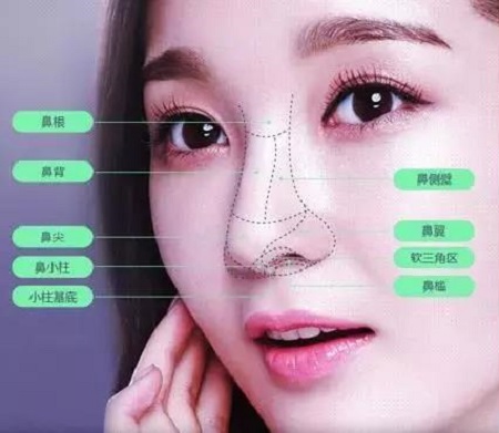 肋軟骨、耳軟骨...隆鼻材料有什么區別?怎么選擇?