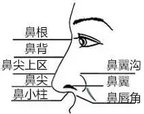 隆鼻手術(shù)切口在哪里?才能自然不留疤