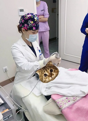 專訪美膚硬核女神 ▏將美麗當作一生的事業來堅守!