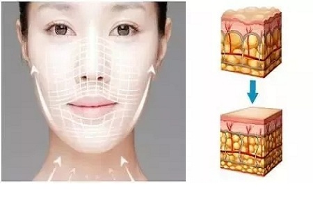 為什么你未老先“衰”，而她卻越活越“年輕”？