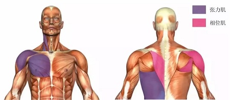 聽(tīng)說(shuō)很多不敢露胳膊的女生,胳膊上都有這個(gè)bug