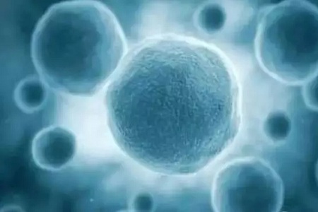 做牙齒矯正 ,真的要趁早!