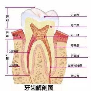 問診室:為什么我的牙卻永遠(yuǎn)也刷不白?