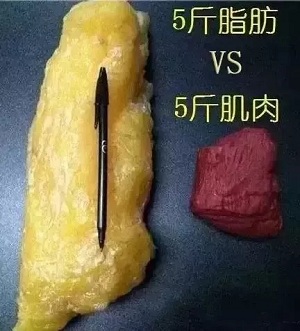 面對減肥這件事,一定要保持頭腦清醒!