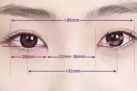 美眼張誠坐診美萊,淺談為什么你的眼睛不夠美?