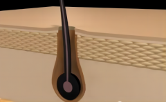 種頭發(fā)多少錢，技術成熟嗎