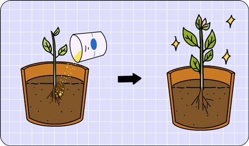 想要嫩膚,應該選擇做光電還是水光