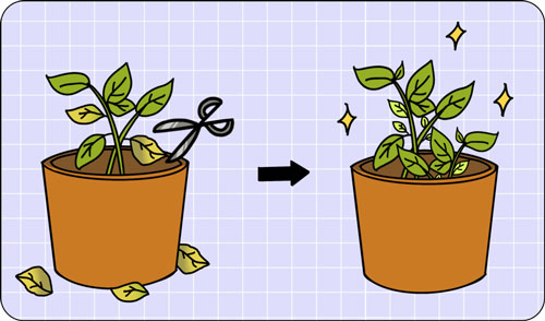 想要嫩膚,應該選擇做光電還是水光